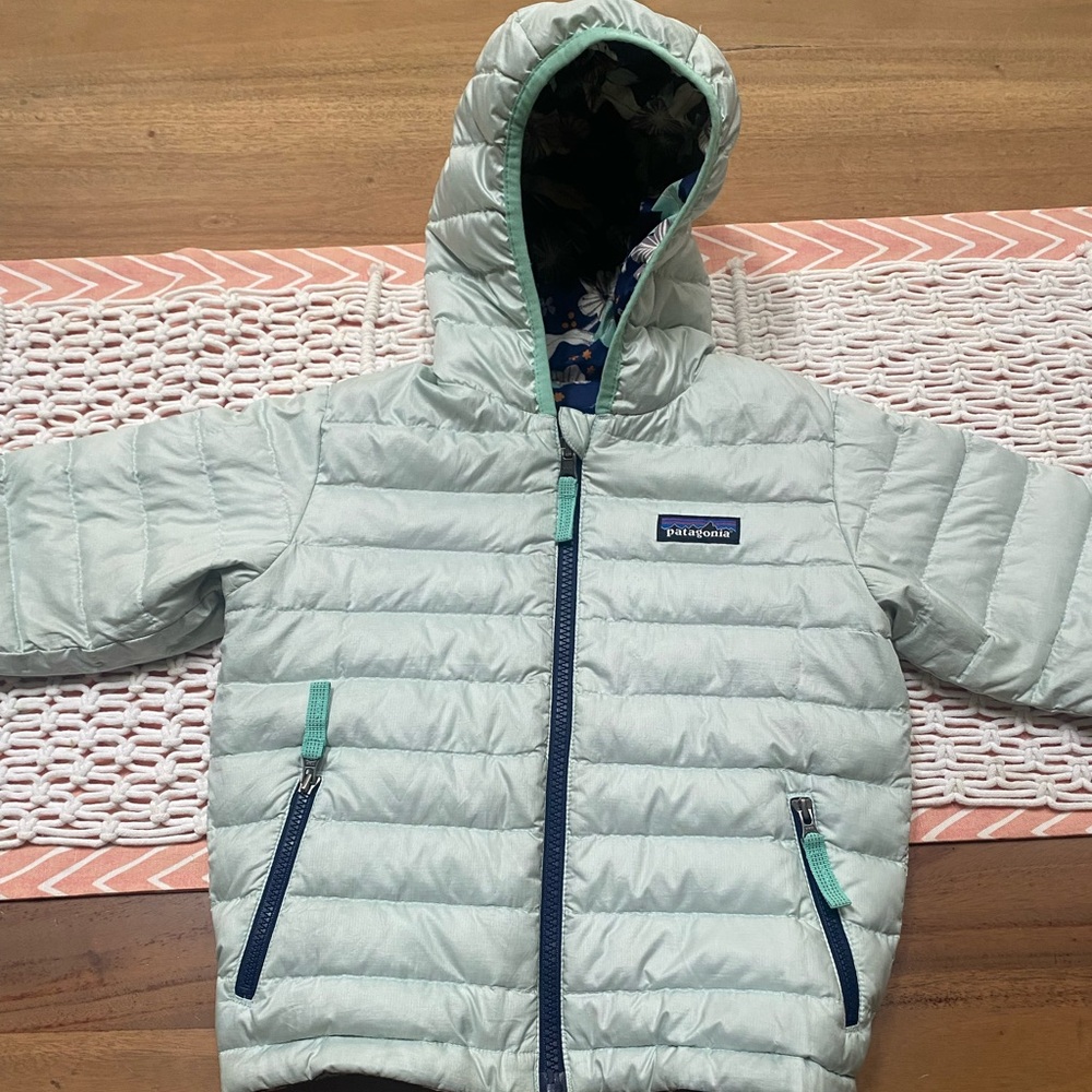 Patagonia Down Sweater Hoody Toddler size 3-4T